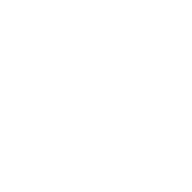 ginetta logo